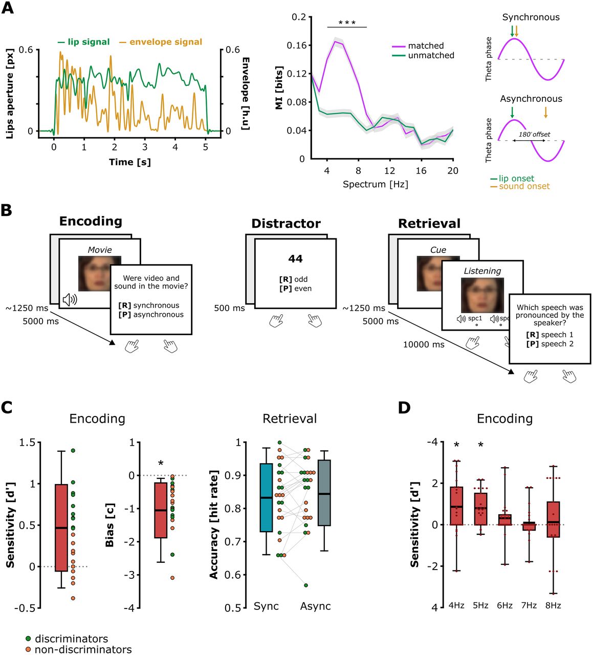 Neocortical and Hippocampal Theta Oscillations Track Audiovisual Integration and Replay of Speech Memories