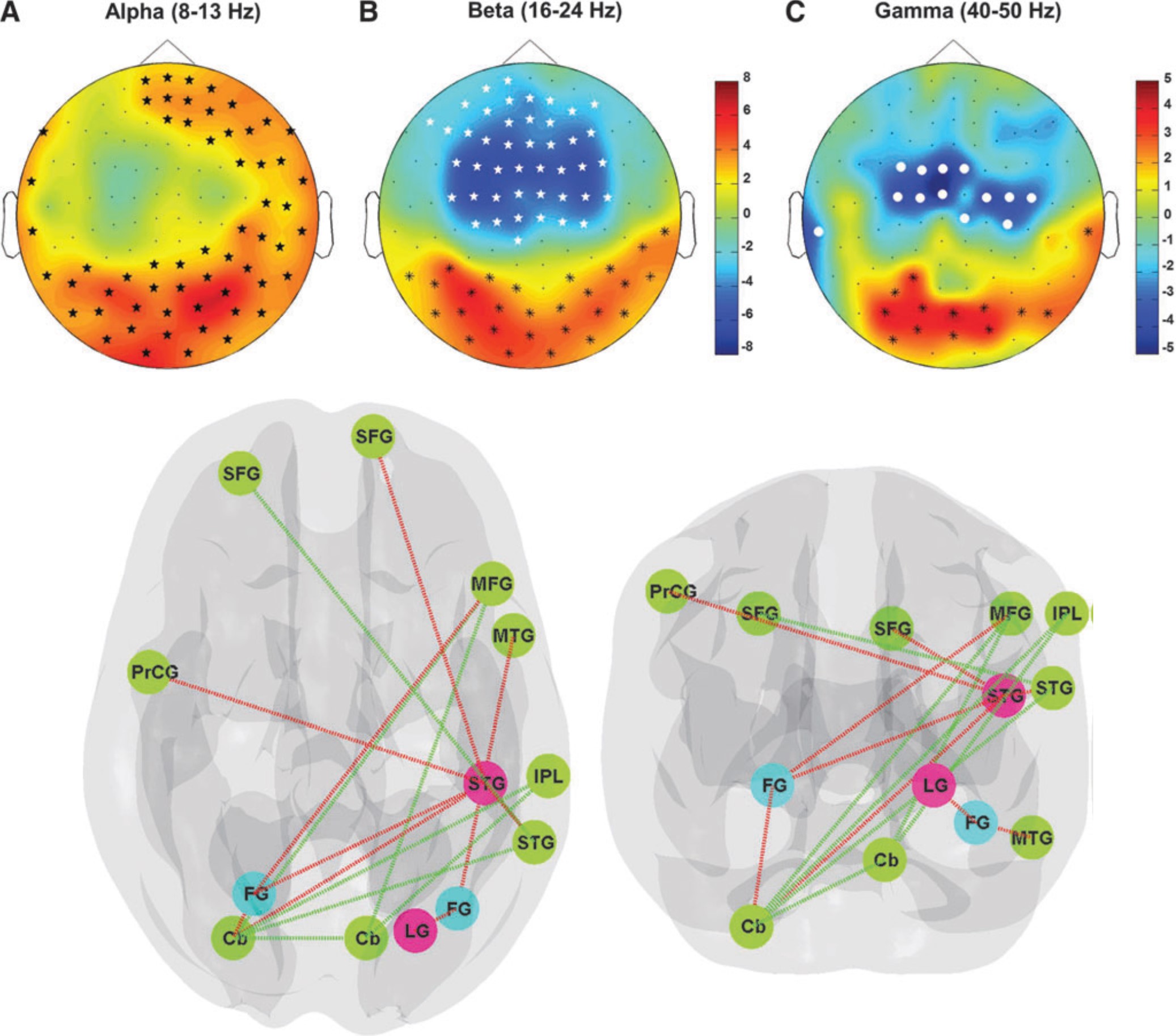 Cross-Frequency Power Correlations Reveal the Right Superior Temporal Gyrus as a Hub Region During Working Memory Maintenance