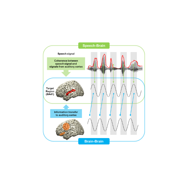 Top-down Modulation of Speech